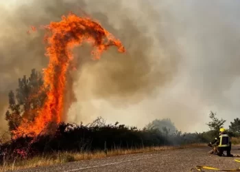 5 vatra zjarri aktive në Shqipëri