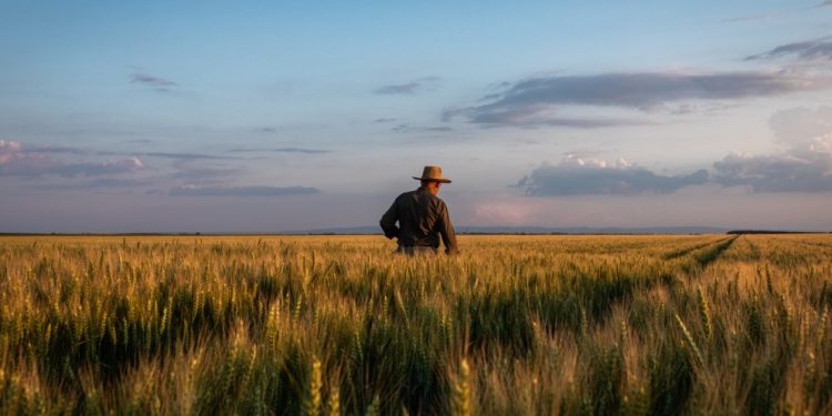 Dy analistë e dy biznesmenë të njohur me projekte fiktive në Ksamil e Dhërmi, shkak për pezullimin e fondeve të IPARD për bujqësinë