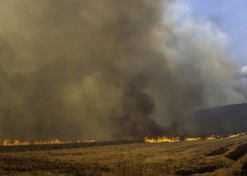 Hetimet e autoriteteve, ja kush i ka shkaktuar zjarret masive në Greqi e Itali