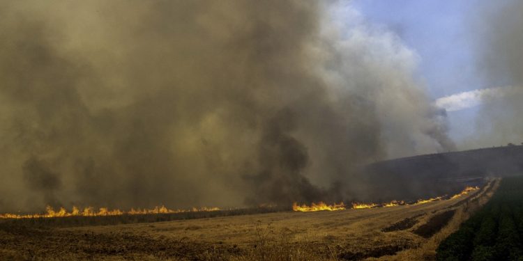 Hetimet e autoriteteve, ja kush i ka shkaktuar zjarret masive në Greqi e Itali