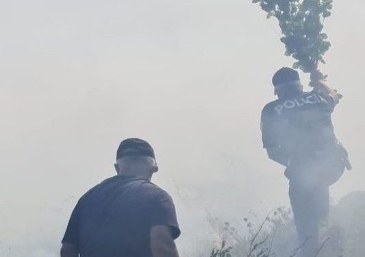 Zbulohen piromanët në Tepelenë, policia ndalon dy shtetas