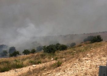 I nxehti përvëlues, zjarret e para përfshijnë Vlorën