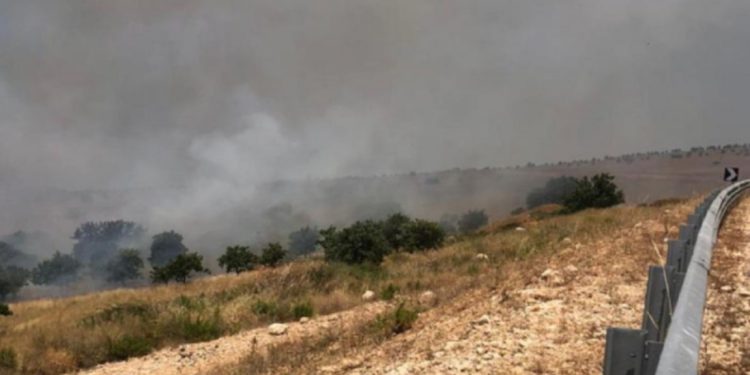 I nxehti përvëlues, zjarret e para përfshijnë Vlorën