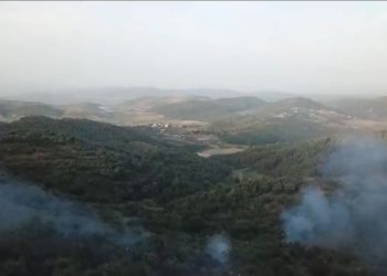 Vijojnë vatrat e zjarrit në fshatrat e Fierit, rrezikohen edhe banesat