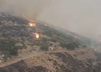 Zjarr në Delvinë dhe Konispol