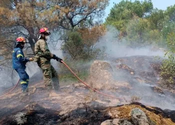 E rëndë në Greqi, 18 emigrantë gjenden të djegur në pyll