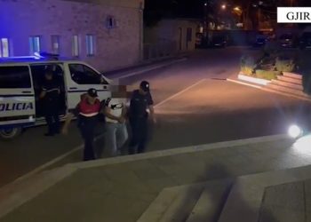 Çmenduri në Gjirokastër, djali dhunoi dhe tentoi të vriste nënën me armë (VIDEO)
