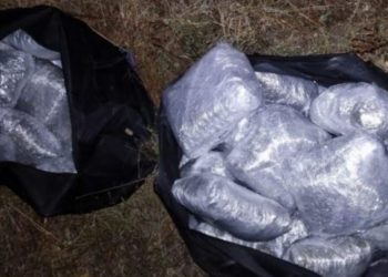 Me 35 pako kanabis, dy shqiptarët arrestohen në Greqi