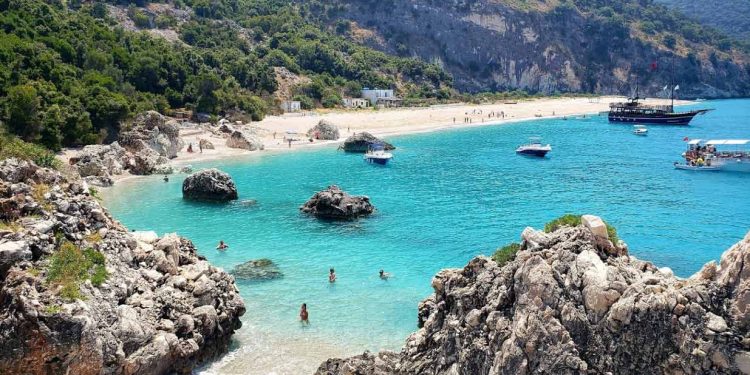 Policia mësyn në 3 lokale në Krorëz, zbulohet kanabis dhe armë, dy të arrestuar (VIDEO)