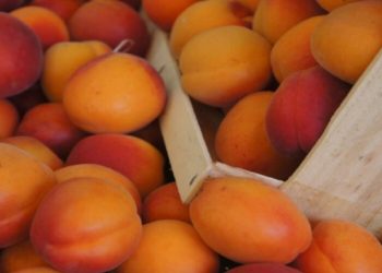 7 ushqimet që kanë më shumë kalium se bananet