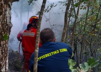 81 vatra aktive në Greqi, edhe zjarrëfikësit shqiptarë në luftë me flakët