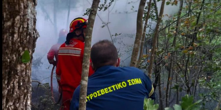 81 vatra aktive në Greqi, edhe zjarrëfikësit shqiptarë në luftë me flakët