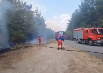 Zjarrfikësit shqiptarë në Greqi, Rama: Maksimalisht të përkushtuar (VIDEO)