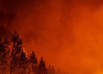 Zjarr i madh në Lushnje, rrezikohen banesat (VIDEO)