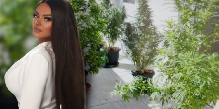 Hashash në ballkon, kush e spiunoi Encën në polici?