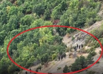 Dalin pamjet, shihni si largohen terroristët serbë nga malet (VIDEO)