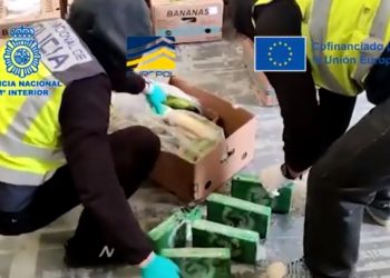 Shkatërrohen 6 banda në Spanjë, mes 197 të arrestuarve edhe shqiptarë