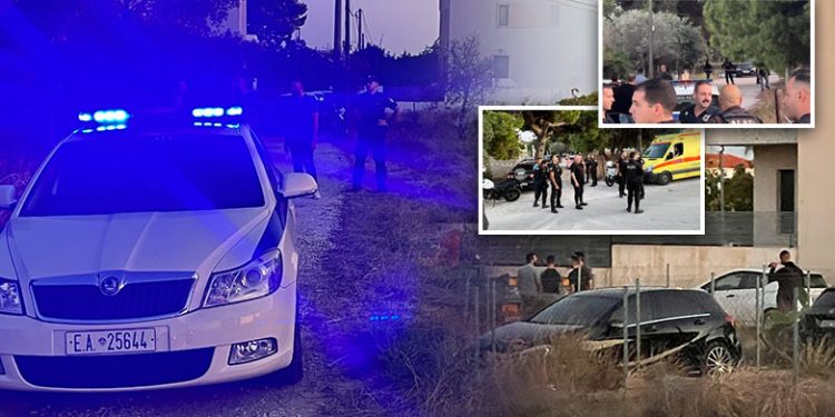 Dyshohet se janë shqiptarë/ Si ndodhi masakra me 6 të vrarë në Greqi