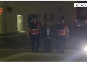 I gjejnë kanabis në shtëpi, arrestohet 65-vjeçari nga Tepelena