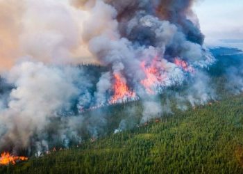 Riaktivzohen sërish vatrat e zjarrit në Pishporo