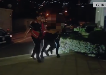 “Porosia” në Gjirokastër, 3 të arrestuar për transport kanabisi (VIDEO)