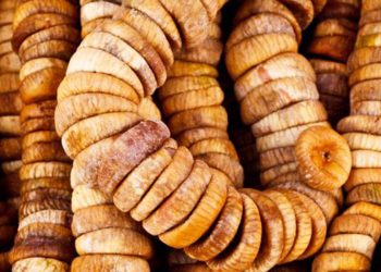 Fermerët e fikut pa mbështetje nga shteti: Do të kthehemi në emigrim (VIDEO)