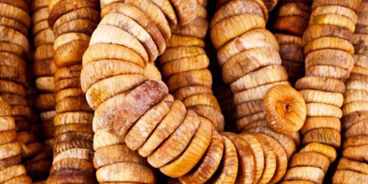 Fermerët e fikut pa mbështetje nga shteti: Do të kthehemi në emigrim (VIDEO)