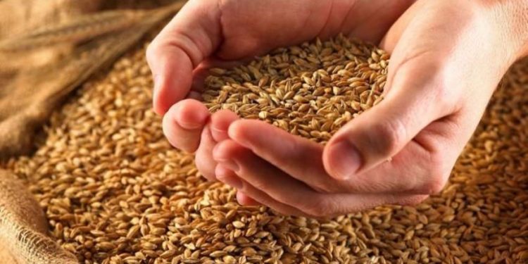 Rezervat e shtetit, bosh, KLSH: Nuk ka grurë, asnjë litër ujë e karburant