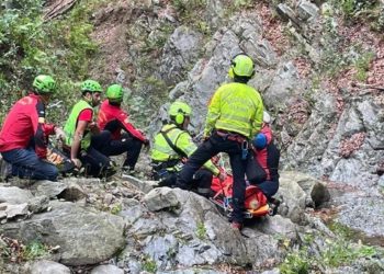 E rëndë në Itali/ Shqiptari vdes teksa kishte dalë të mblidhte kërpudha (Emri)