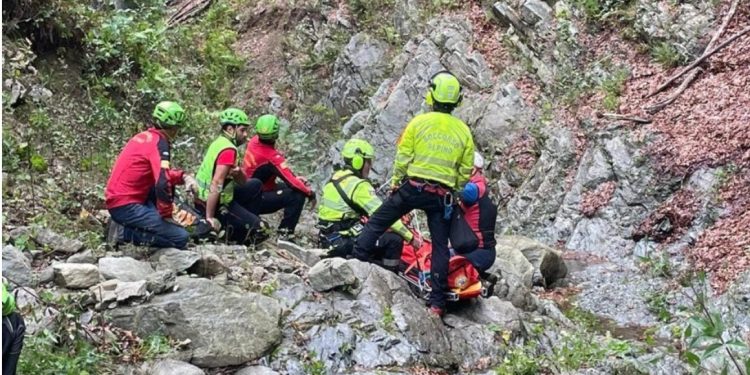 E rëndë në Itali/ Shqiptari vdes teksa kishte dalë të mblidhte kërpudha (Emri)