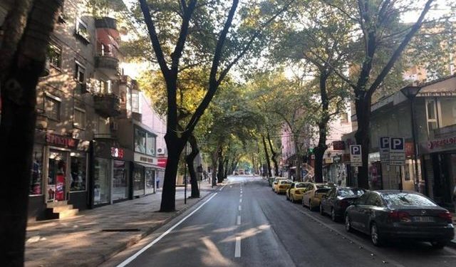 Ja cila është fjala më e përdorur në rrugët e Tiranës