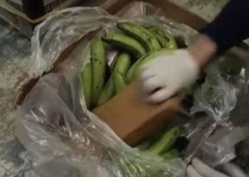 Kapet 91 kg kokainë në Portin e Pireut