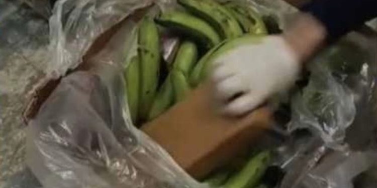 Kapet 91 kg kokainë në Portin e Pireut