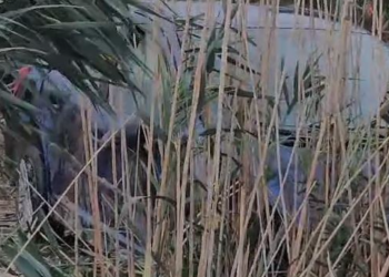 Aksident me vdekje, ndërron jetë 29-vjeçari