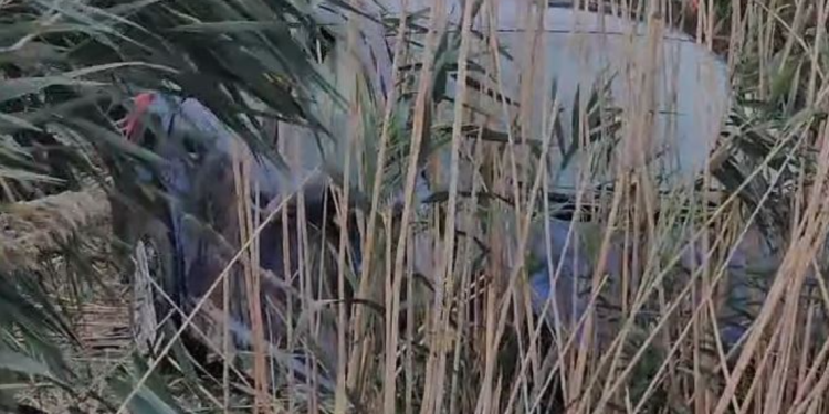 Aksident me vdekje, ndërron jetë 29-vjeçari