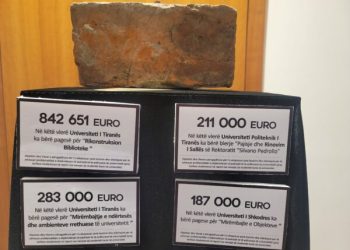 Paratë publike "rrush e kumbulla", si i shpenzojnë universitetet fondet e tyre