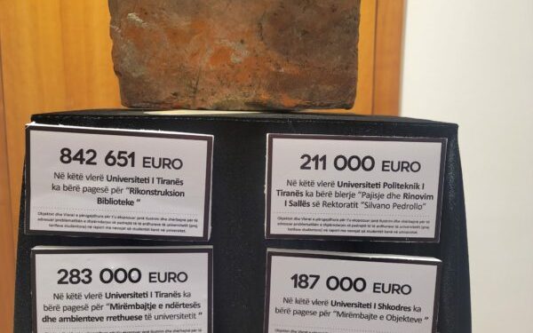 Paratë publike "rrush e kumbulla", si i shpenzojnë universitetet fondet e tyre