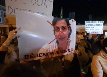 “Bëjeni shembull”, protestë pas dhunës së fëmijës në kopësht (FOTO)