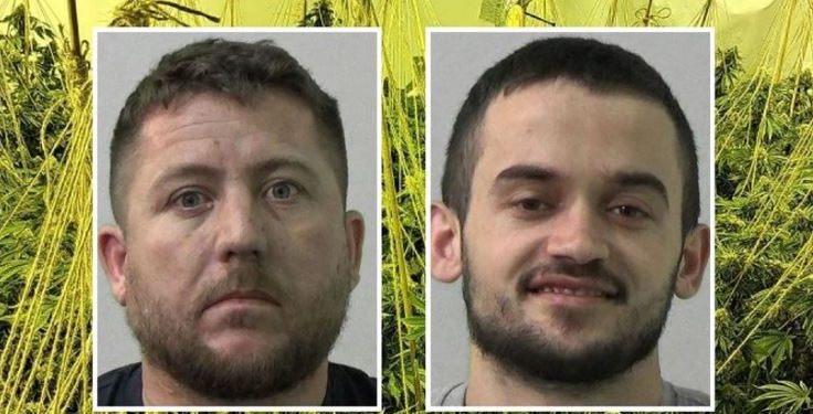 “Zhgënjeva nënën”, kapen dy shqiptarë në një “shtëpi bari” në Angli