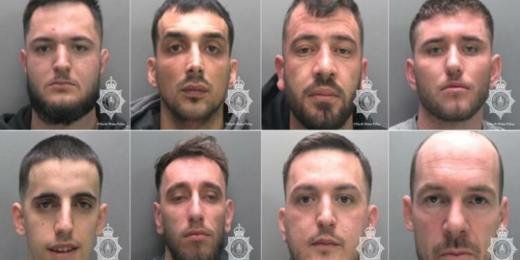 Ngritën fermë kanabisi në Uells, kush janë 8 shqiptarët e dënuar me burg (Emrat)