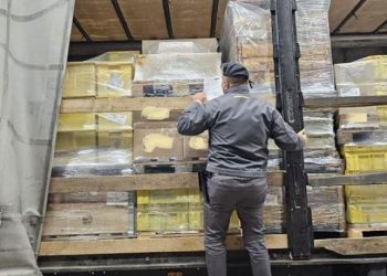 I fshehur mes arrkave me birra ishte nisur drejt atdheut, kapet i arratisuri shqiptar