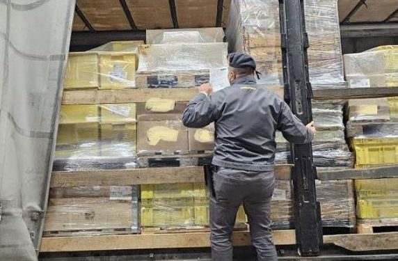 I fshehur mes arrkave me birra ishte nisur drejt atdheut, kapet i arratisuri shqiptar