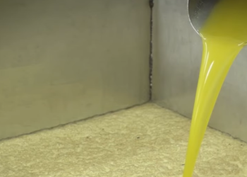 “Emigron” ulliri, Italia po na lë pa vaj  (VIDEO)