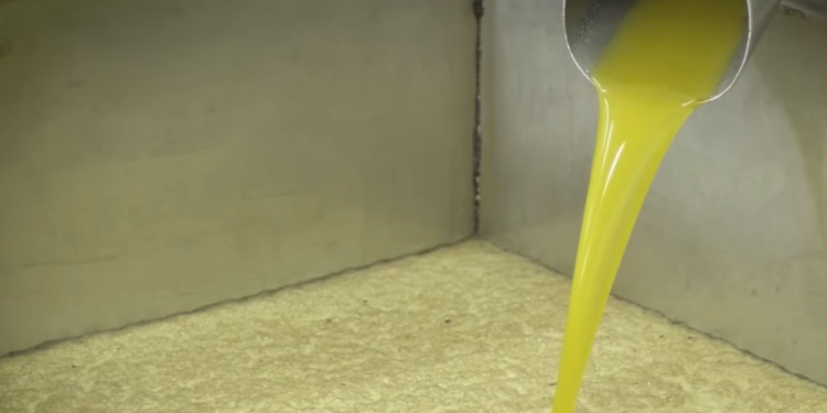 “Emigron” ulliri, Italia po na lë pa vaj  (VIDEO)