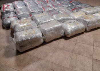 Me 500 kg kanabis, Gjykata e Vlorës lë në burg 7 të arrestuarit (Emrat)