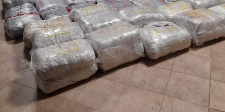 Me 500 kg kanabis, Gjykata e Vlorës lë në burg 7 të arrestuarit (Emrat)