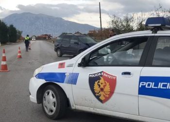 Gjirokastër/ Procedohen në gjendje të lirë 3 persona për vepra të ndryshme penale
