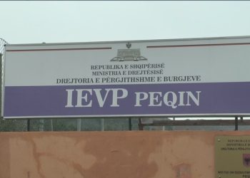 “Të fortët bëjnë ligjin”, letra tronditëse e drejtorit të policisë së burgut në Peqin