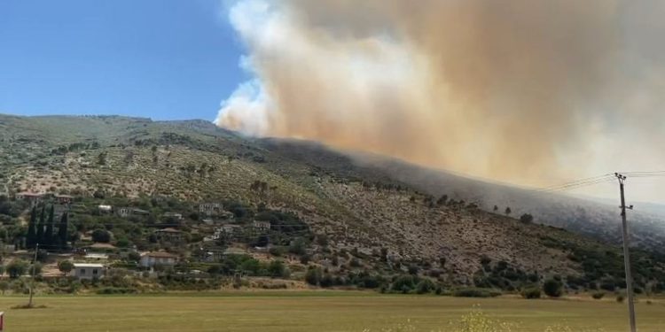 Policia ndalon ‘piromanin’ në Dropull, nën hetim për zjarrvënie