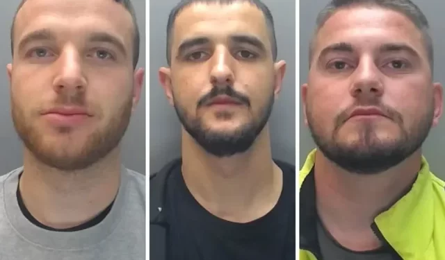 U kapën në “shtëpi bari”, arrestohnt 3 shqiptarë në Angli